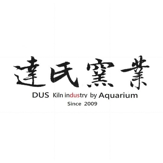 【QQ魚】台灣製 最新《第5代DUS PLUS 負離子 1kg賣場 散裝》多孔培菌濾材 陶瓷環 陶瓷球 石英石-細節圖7