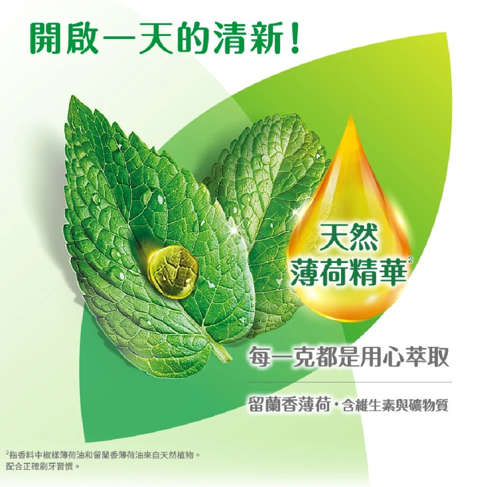 DARLIE 好來超氟強化琺瑯質牙膏 250g【全成藥妝】-細節圖6