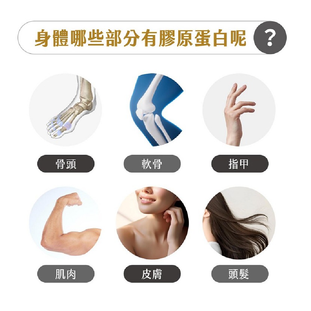 水解膠原蛋白胜肽5gx30袋 直得生醫【全成藥妝】-細節圖4