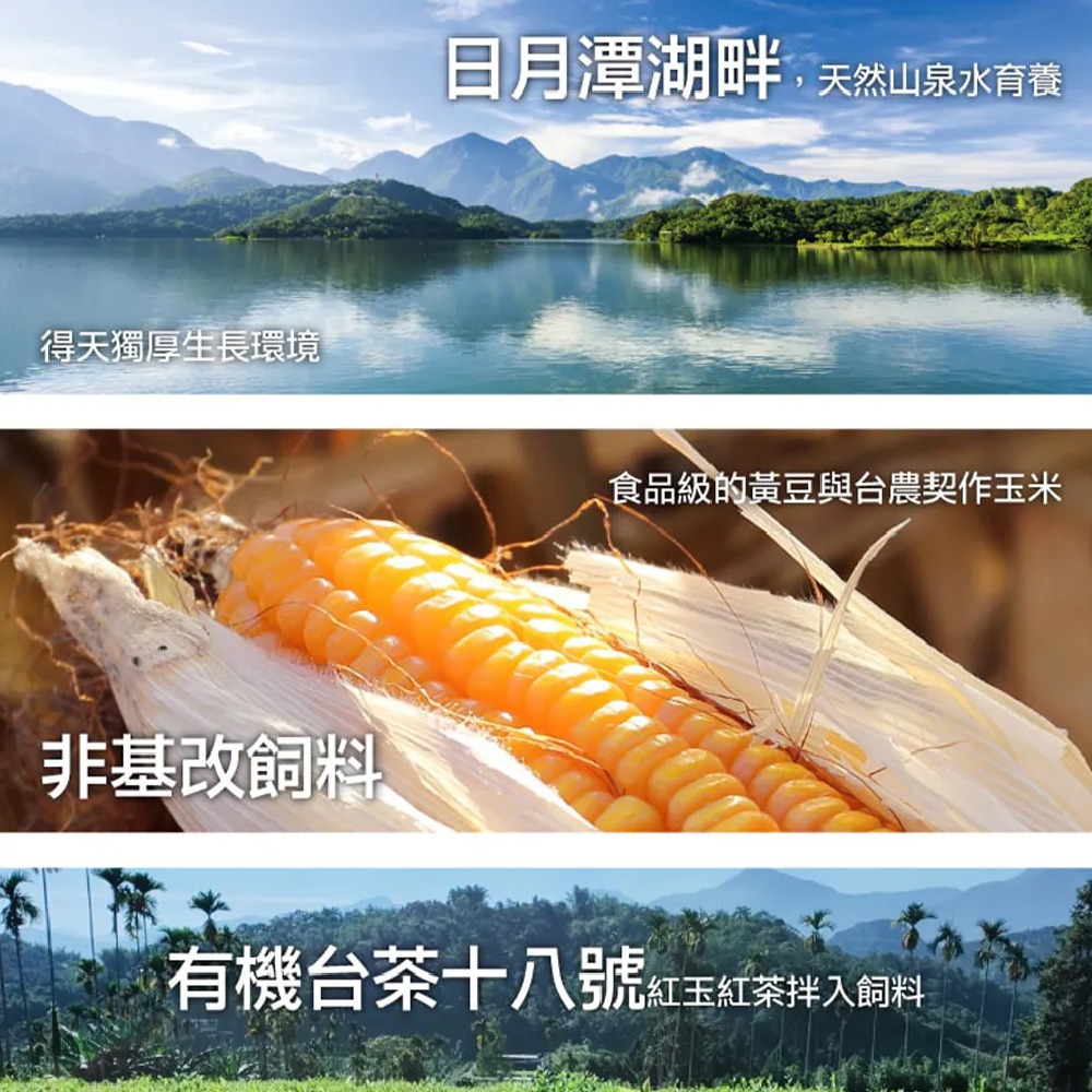 補體素 滴雞精 8包入禮盒 常溫【全成藥妝】-細節圖5