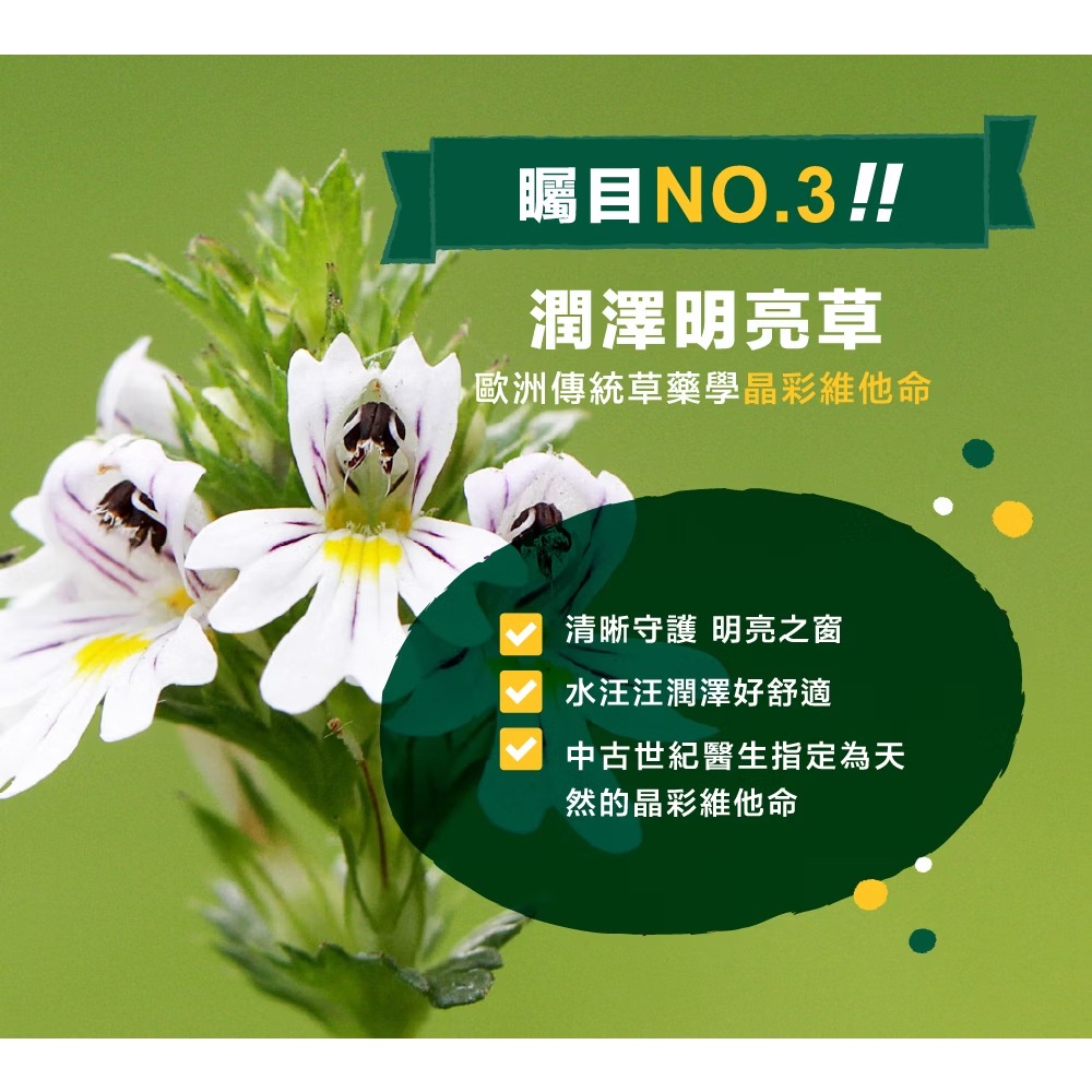 孕哺兒 小晶亮葉黃素嚼錠100粒【全成藥妝】-細節圖6