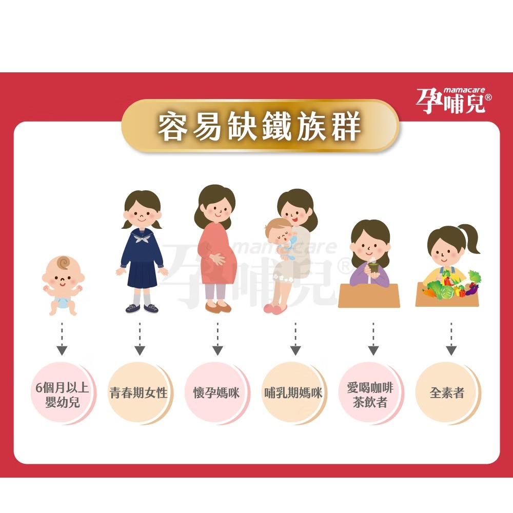 孕哺兒 凍晶血紅素鐵＋葉酸60粒 膠囊 媽咪 保健食品 媽媽 母親 補鐵 鐵【全成藥妝】-細節圖3