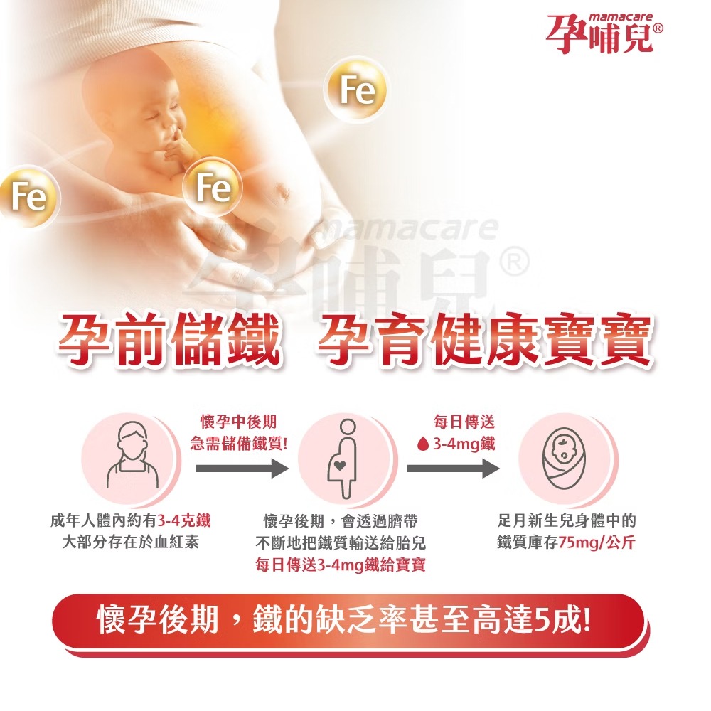 孕哺兒 凍晶血紅素鐵＋葉酸60粒 膠囊 媽咪 保健食品 媽媽 母親 補鐵 鐵【全成藥妝】-細節圖5