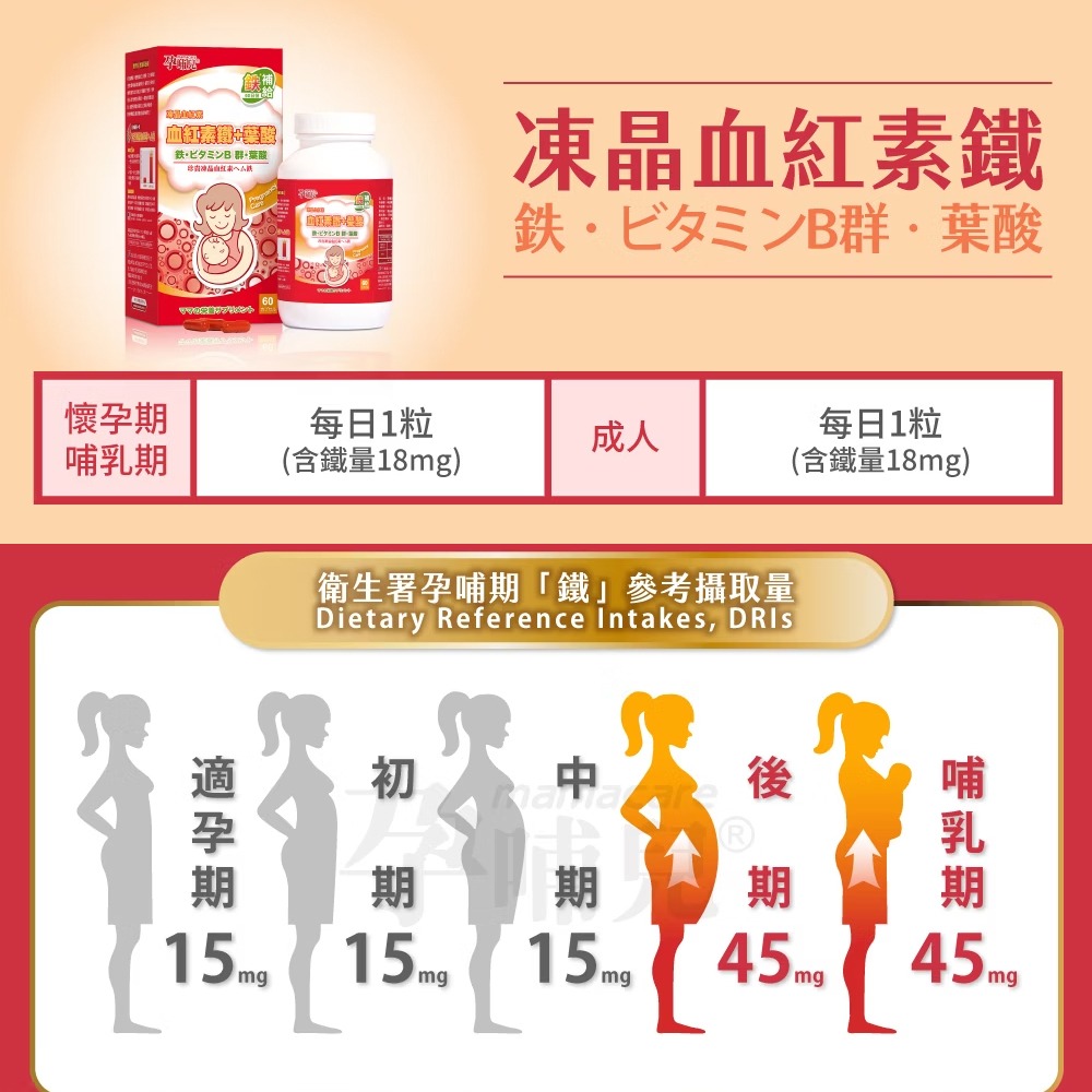 孕哺兒 凍晶血紅素鐵＋葉酸60粒 膠囊 媽咪 保健食品 媽媽 母親 補鐵 鐵【全成藥妝】-細節圖7