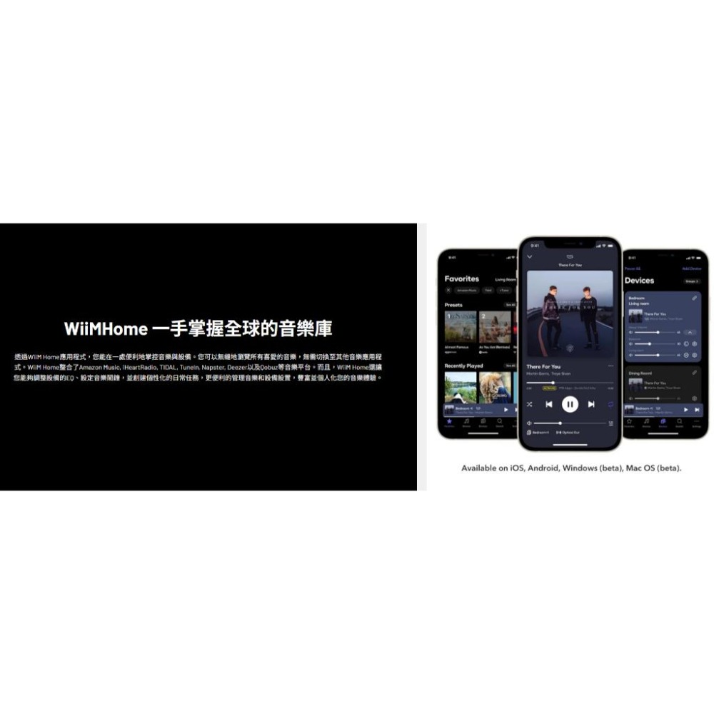 【WiiM】WiiM Pro 串流音樂播放器-細節圖7