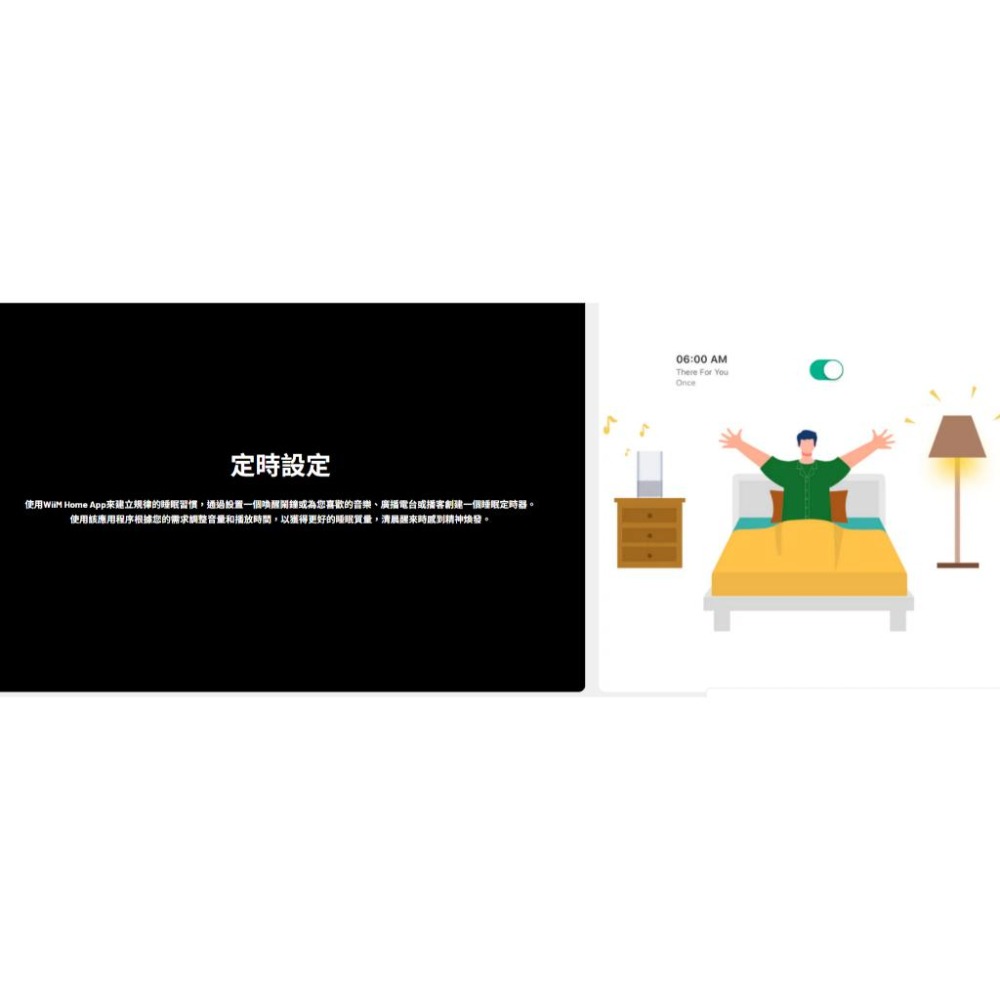 【WiiM】WiiM Pro 串流音樂播放器-細節圖9