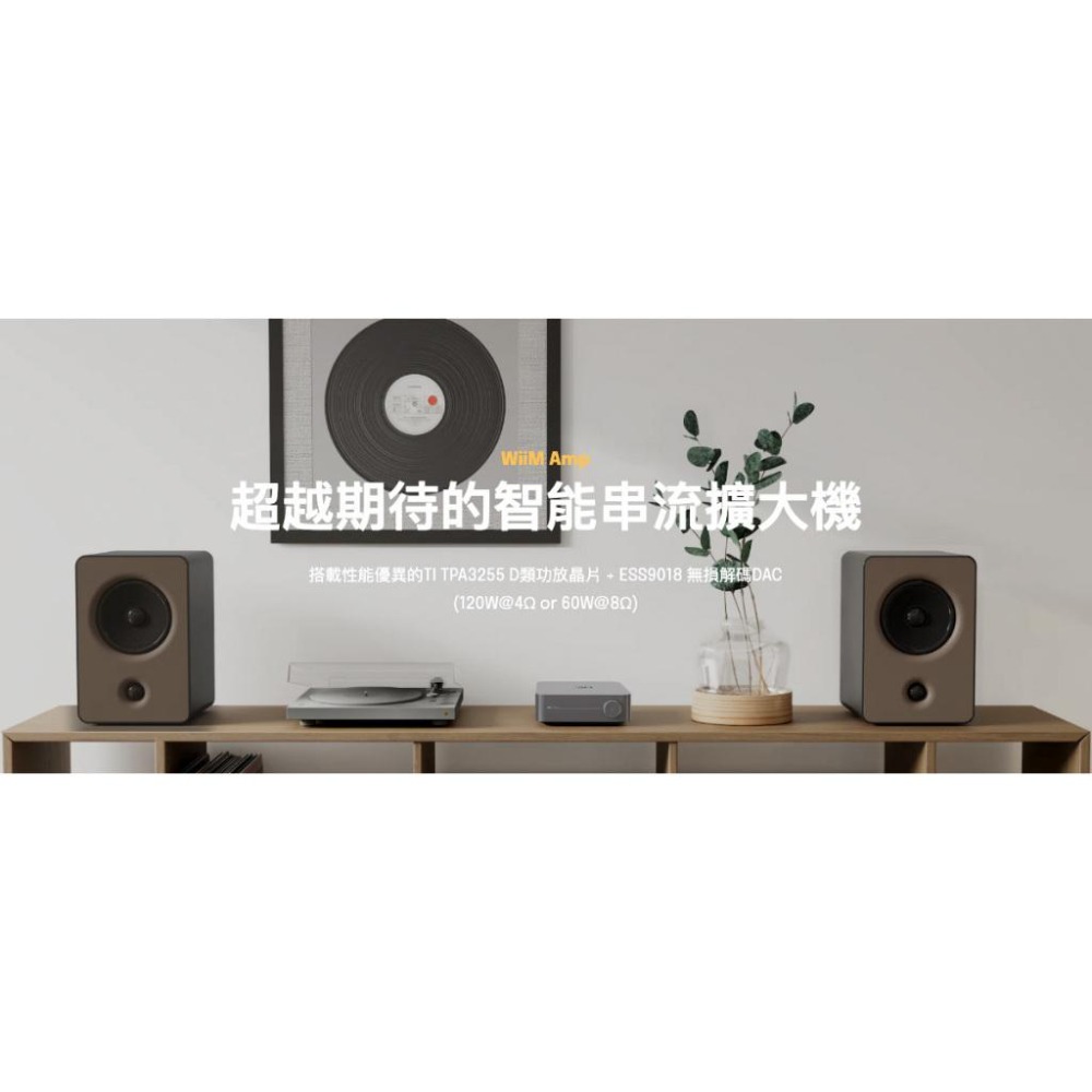 【WiiM】 WiiM Amp 一體式無損串流媒體擴大機-細節圖3