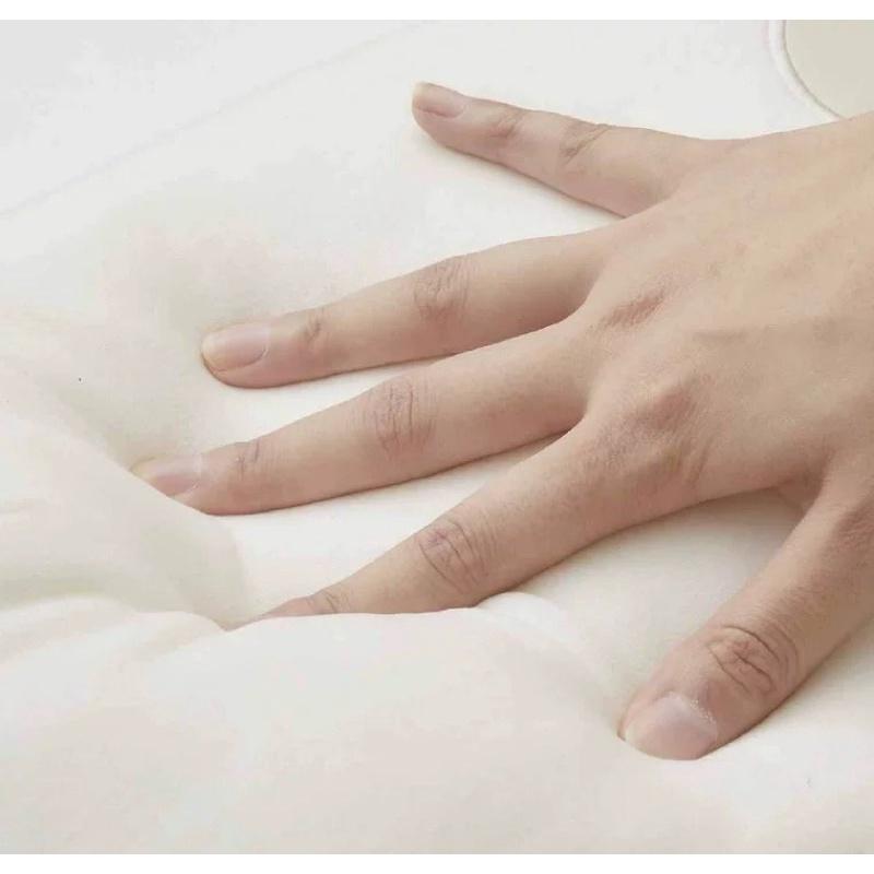 𝐔𝐌𝐄𝐎𝐖 𝐒𝐓𝐔𝐃𝐈𝐎 奇怪の可愛🦪超大生蠔蚵仔軟軟抱枕 牡蠣-細節圖3