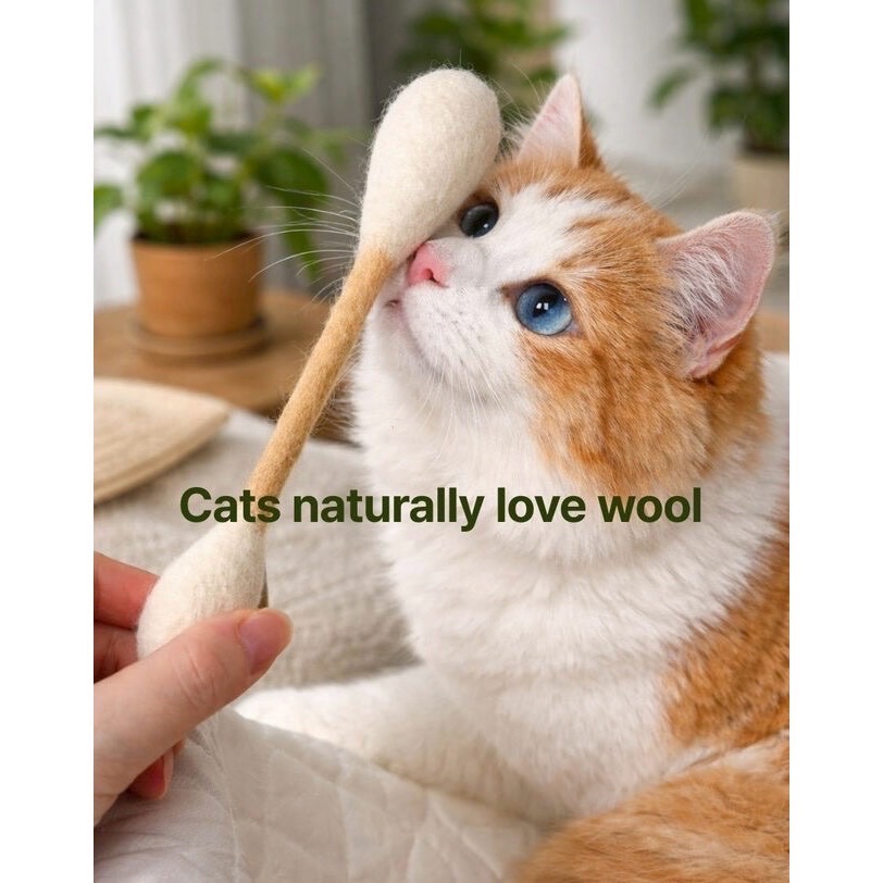 【預購】貓奴必備🐱 貓草棉花棒-細節圖4