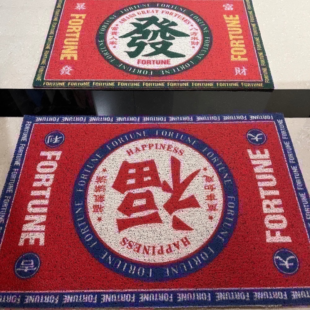 【現貨】絲圈地墊 玄關地墊 防滑地墊 門口地墊 蹭泥沙 寵物踏墊-細節圖2