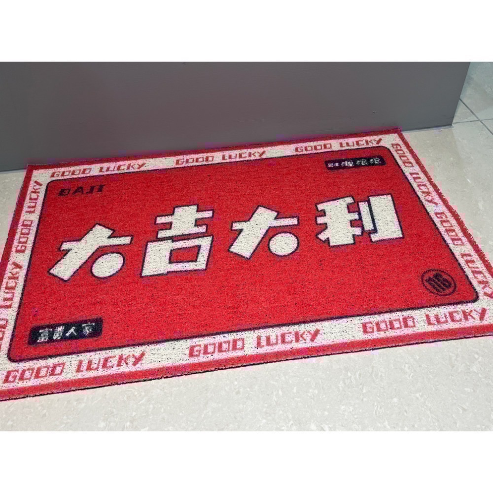 【現貨】絲圈地墊 玄關地墊 防滑地墊 門口地墊 蹭泥沙 寵物踏墊-細節圖3