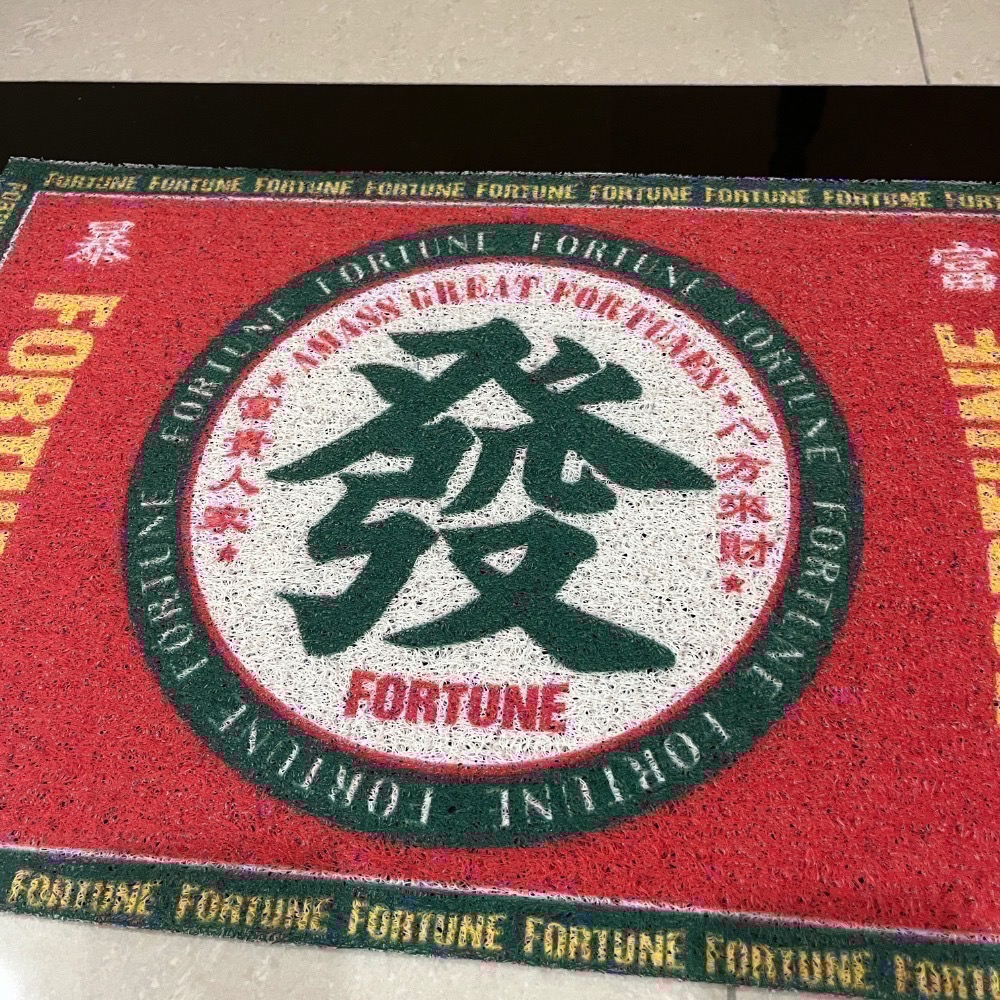 【現貨】絲圈地墊 玄關地墊 防滑地墊 門口地墊 蹭泥沙 寵物踏墊-細節圖4