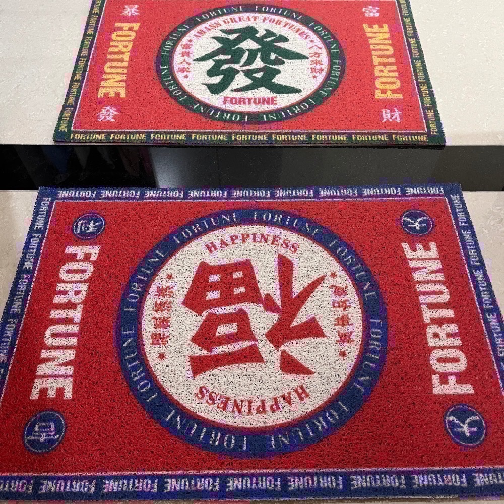 【現貨】絲圈地墊 玄關地墊 防滑地墊 門口地墊 蹭泥沙 寵物踏墊-細節圖2