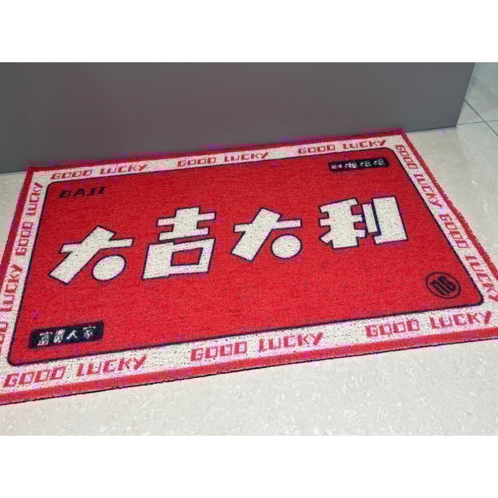 【現貨】絲圈地墊 玄關地墊 防滑地墊 門口地墊 蹭泥沙 寵物踏墊-細節圖3