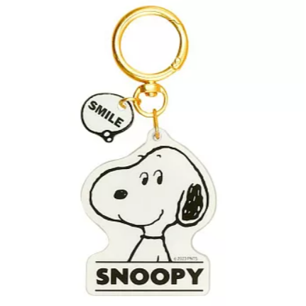 PEANUTS-CHARLIE BROWN/LUCY/SNOOPY/WOODSTOCK鏡面吊飾icash2.0-規格圖4