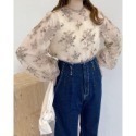 甜心貓💕少量現貨再入荷。24年新色入大人氣款！日單 mysty woman 精緻花卉刺繡透視長袖上衣 多色 均碼-規格圖11