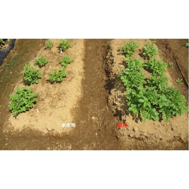 YASAKI 日本製植物專用黑益菌 100ml/瓶 特殊 光合菌 枯草桿菌 改善土壤 抑制壞菌 幫助分解肥料好吸收-細節圖2