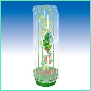 日本 防蟲 防鳥 網罩 (適用直徑42cm以下圓形花盆使用, 不含支架)-細節圖2