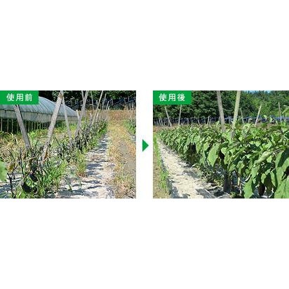 植殖旺  特殊光合細菌  枯草桿菌 改善土壤 抑制壞菌 分解有機物質 超好用 符合日本JAS有機標準 水耕 水族 適用-細節圖3