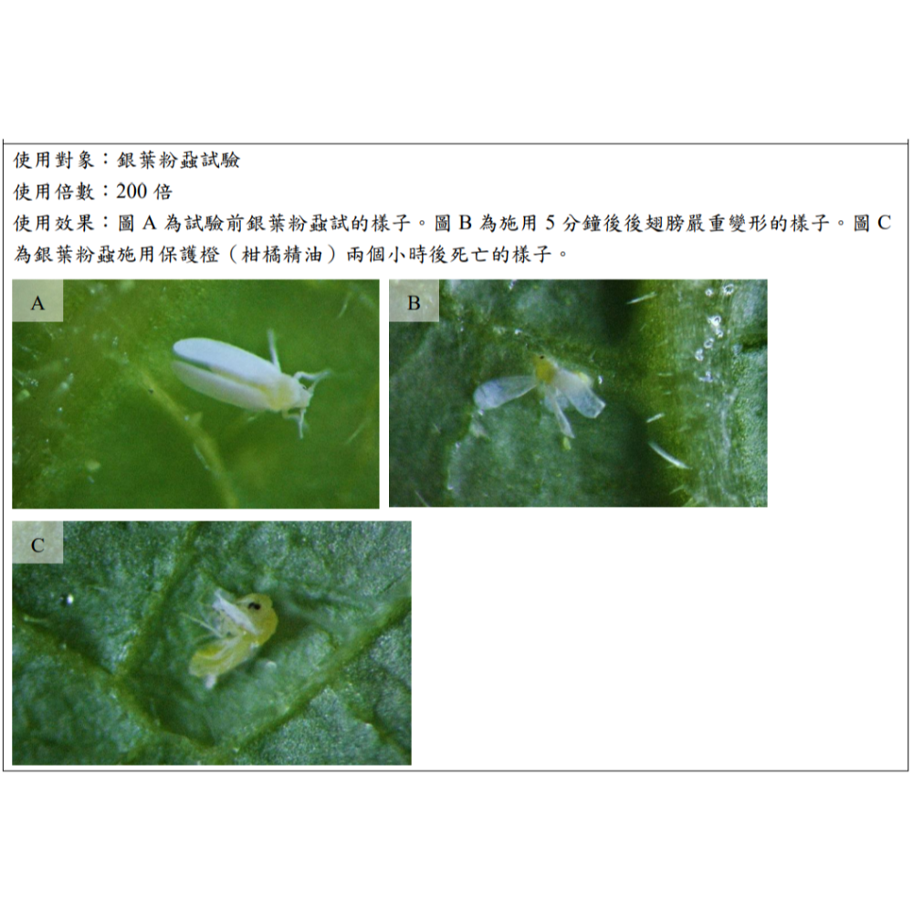 保護植物 抗蟲抗病專用 柑桔精油 250ml/瓶-細節圖3