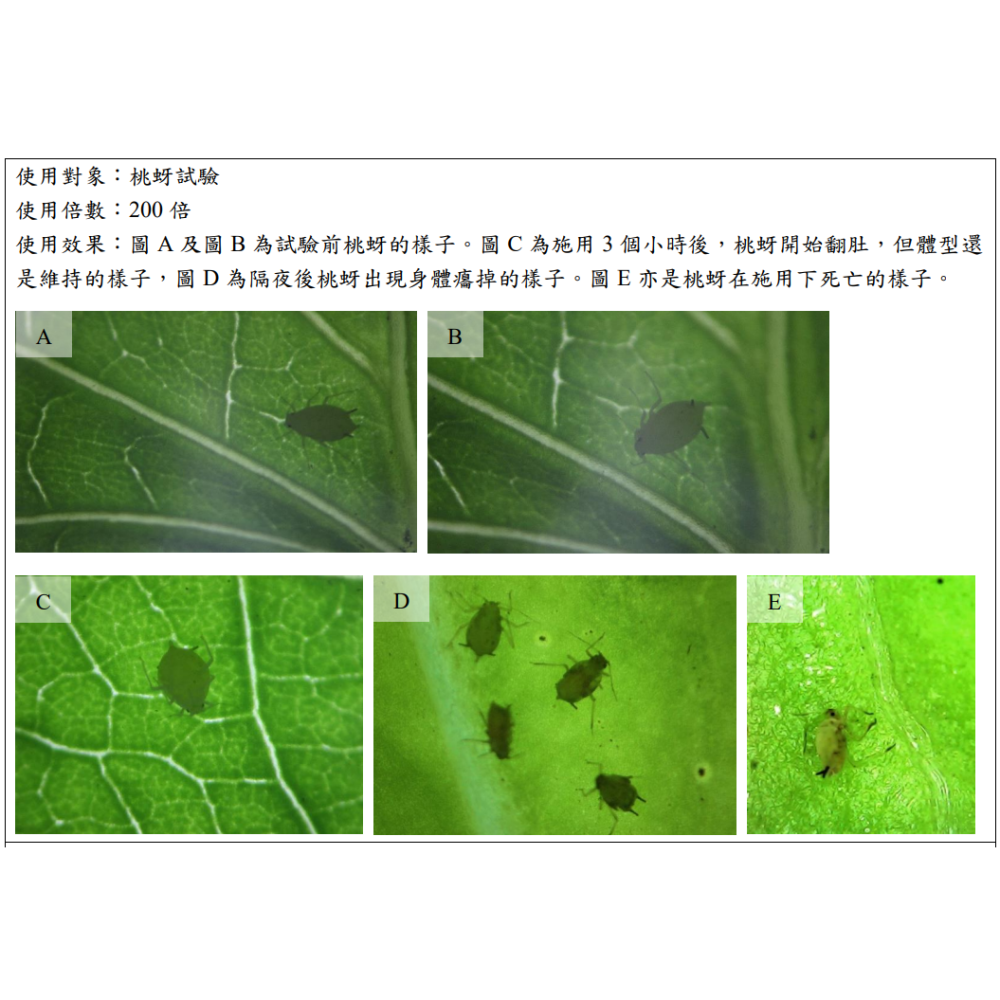 保護植物 抗蟲抗病專用 柑桔精油 250ml/瓶-細節圖4
