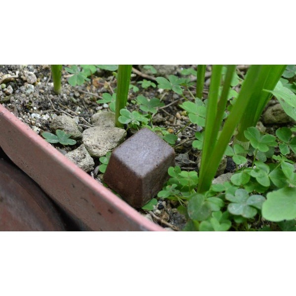 FM 日本製天然蜈蚣室外驅離薰氛錠 4顆/包 驅離蜈蚣超好用 天然材質對人和寵物都無害 室外用 效果可達50-60天-細節圖3