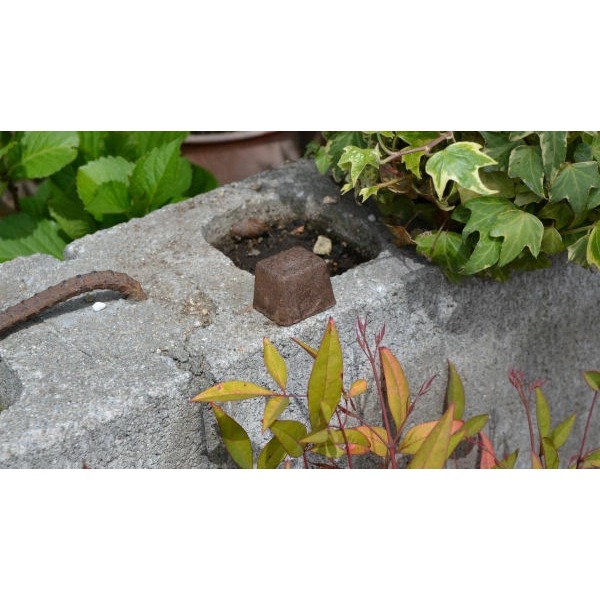 日本製天然盆栽薰氛錠 4顆/包 趕走小黑飛, 馬陸和昆蟲 好幫手 超好用 天然材質對人和動物都無害 效果達6-8週-細節圖4