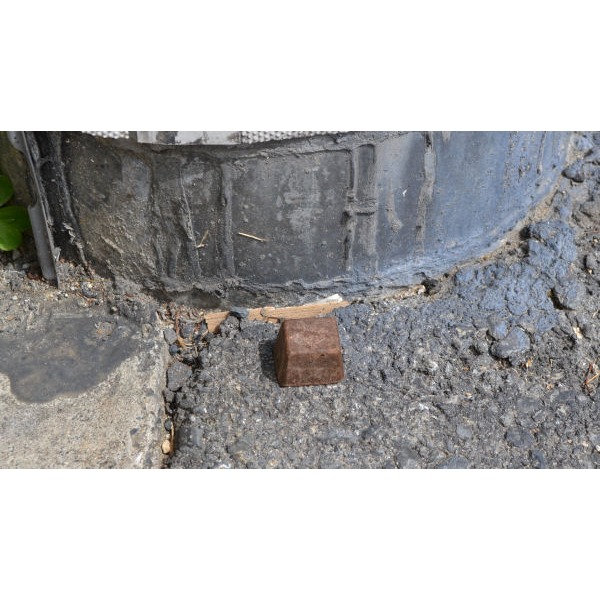 FM 日本製天然居家保護薰氛錠 4顆/包 趕走入侵家中的動物和昆蟲 避免討厭的動物和蟲出現 超好用 天然材質對人無害-細節圖3