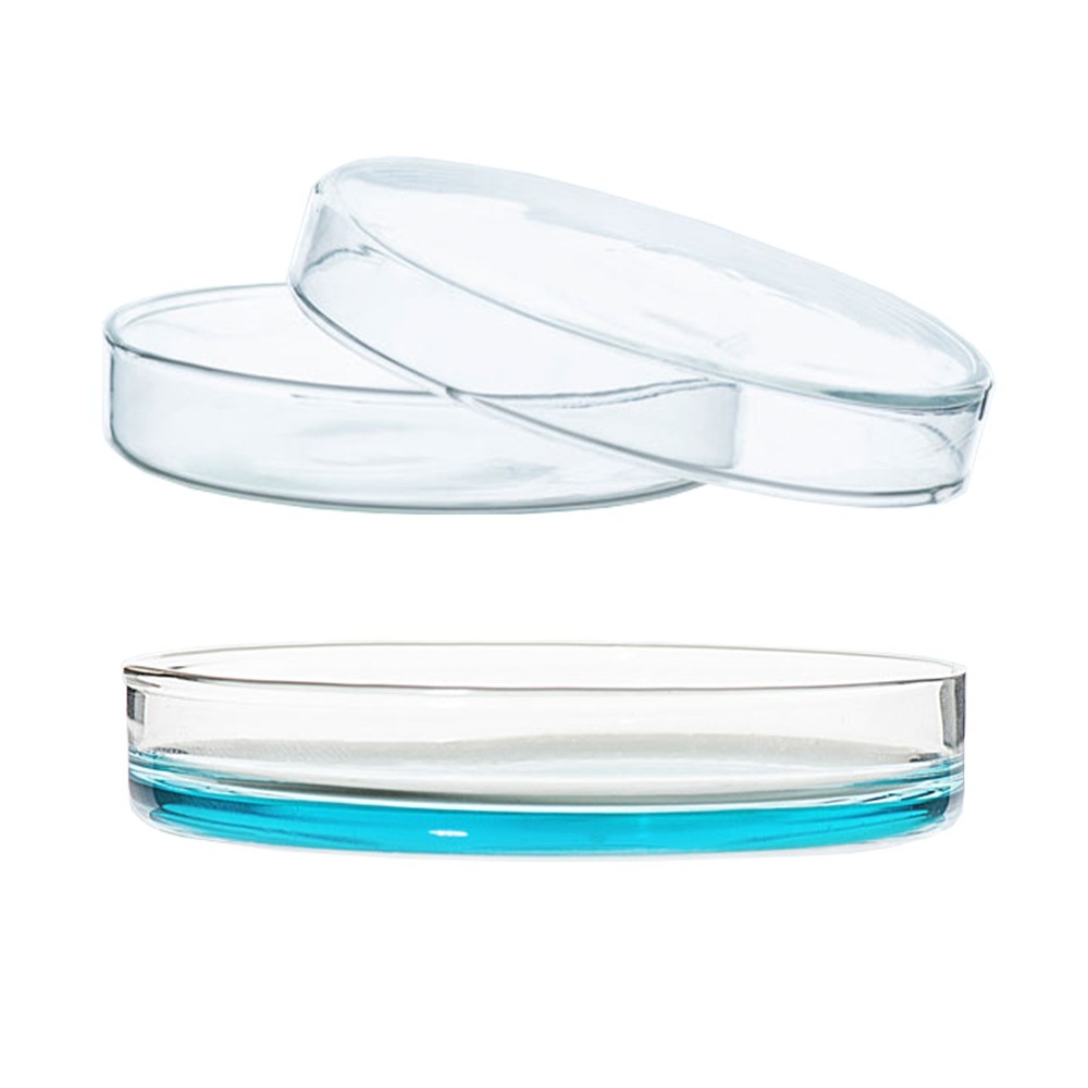 玻璃培養皿 藻類觀察皿 培養皿 75mm 實驗用品 微生物 高硼矽加厚 細菌培養皿 【頭手工具】CCD75-細節圖2