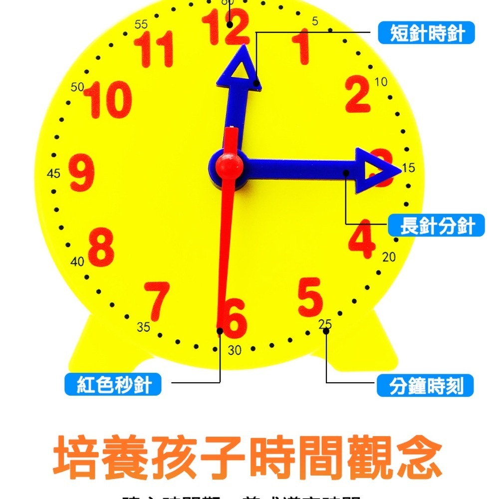 【儀表】MIT-CTA312 幼教學具 教學時鐘 鍾錶模型 認識時間觀念 一二年級小學生 時鐘教具/三針連動12小時-細節圖3