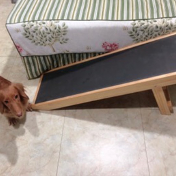 🟢小型款 寵物斜坡樓梯 寵物輔助爬坡 狗狗爬坡 可折疊收納 止滑墊坡道 狗狗貓咪坡道 收納式斜坡-細節圖3