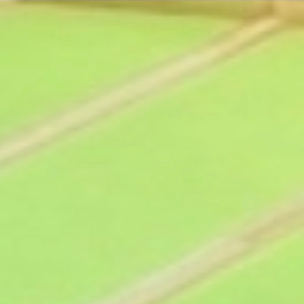 💜L護欄+止滑木條 平台式寵物用輔助斜坡樓梯 斜度25度 狗狗爬坡 寵物斜坡 可訂製-規格圖9