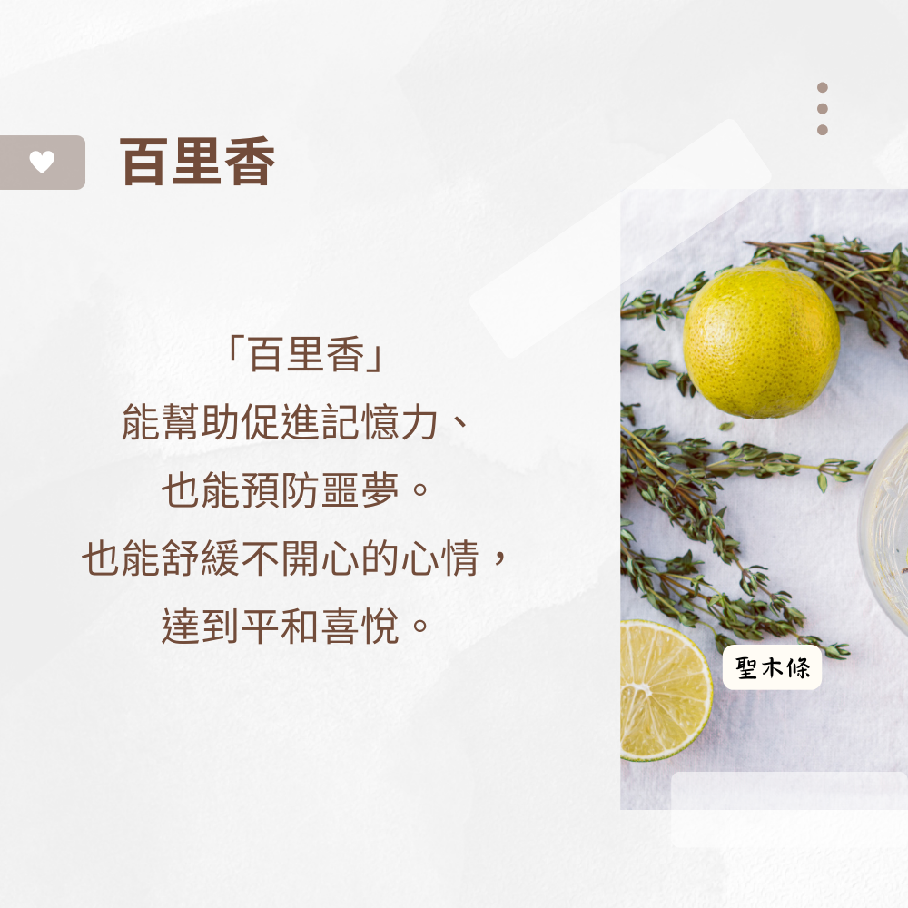 花魁線香 - 玉蘭花+百里香-細節圖5