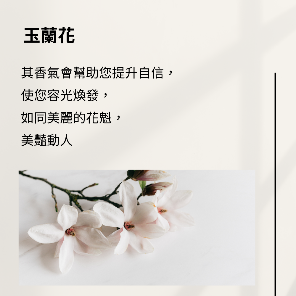 花魁線香 - 玉蘭花+百里香-細節圖6