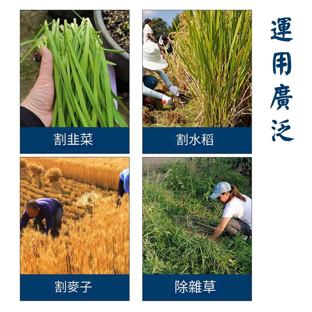 台灣製塑膠柄長彎禾刀 彎弧禾刀 平直刀 長柄鐮刀 S040 禾刀 有齒香蕉刀 除草工具 鐮刀 除草鐮刀-細節圖3