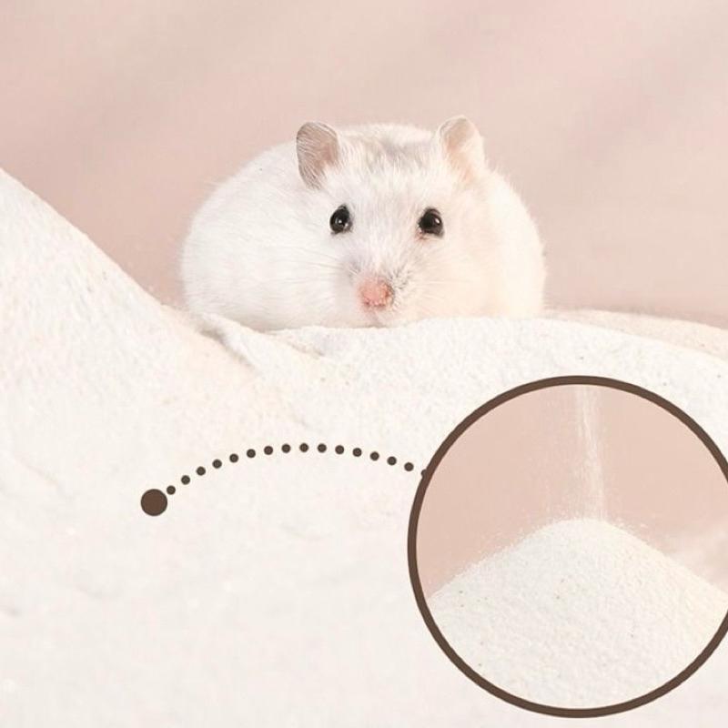 [現貨]倉鼠沐浴沙 1000g 小倉鼠除臭浴沙-細節圖3