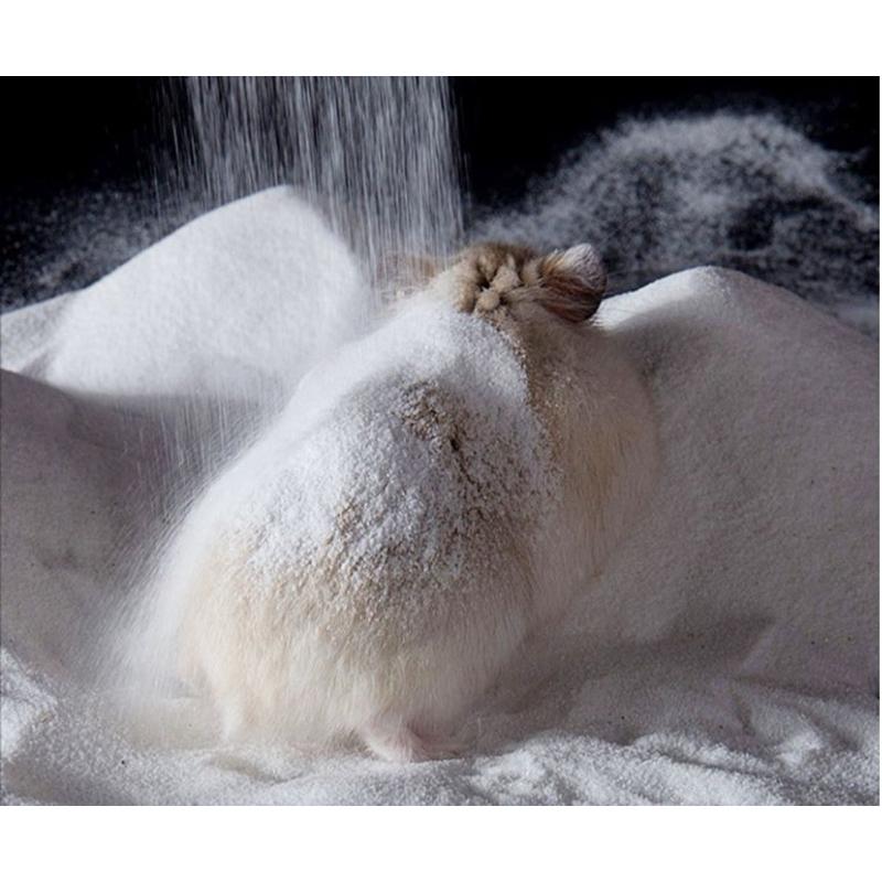 [現貨]倉鼠沐浴沙 1000g 小倉鼠除臭浴沙-細節圖9