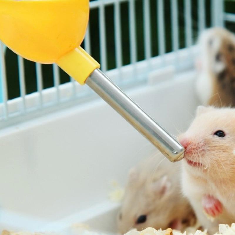 [現貨]倉鼠多功能不鏽鋼水壺 自動餵水器  懸掛式飲水機-細節圖5