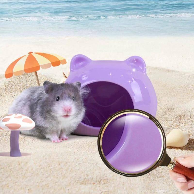 [現貨]夏日降溫倉鼠陶瓷窩 冰屋 躲避屋陶瓷窝 四季通用防咬造景-細節圖4