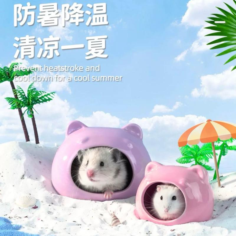[現貨]夏日降溫倉鼠陶瓷窩 冰屋 躲避屋陶瓷窝 四季通用防咬造景-細節圖5