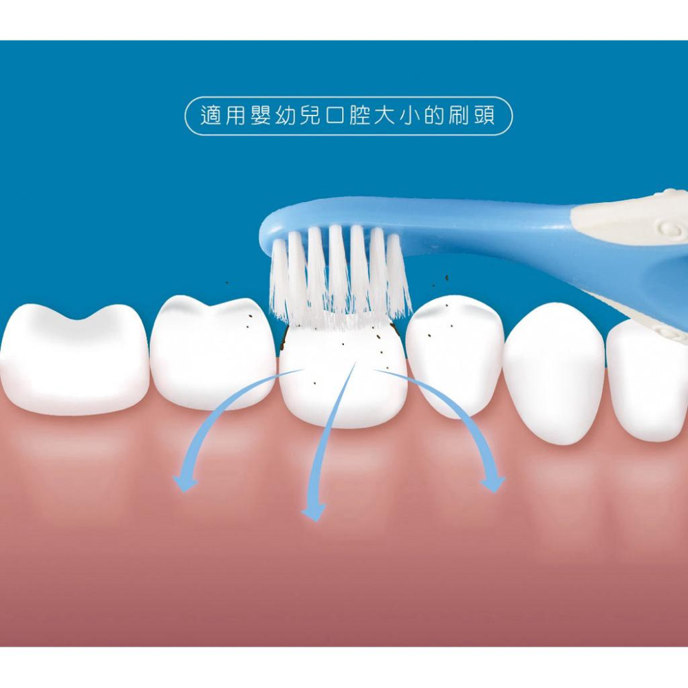 [現貨]台灣製KU KU酷咕鴨  幼兒護齒乳牙刷-細節圖9