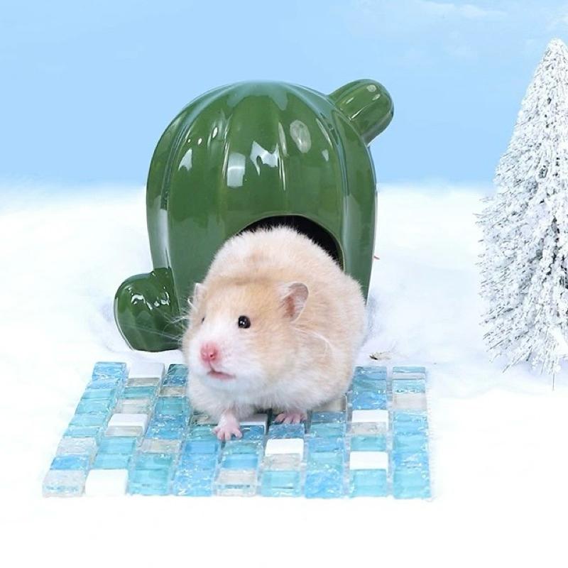 [現貨]倉鼠散熱墊 小寵物天然晶石涼席 降溫用品 夏天散熱板 水晶冰墊兔子冰床消暑用品-細節圖4