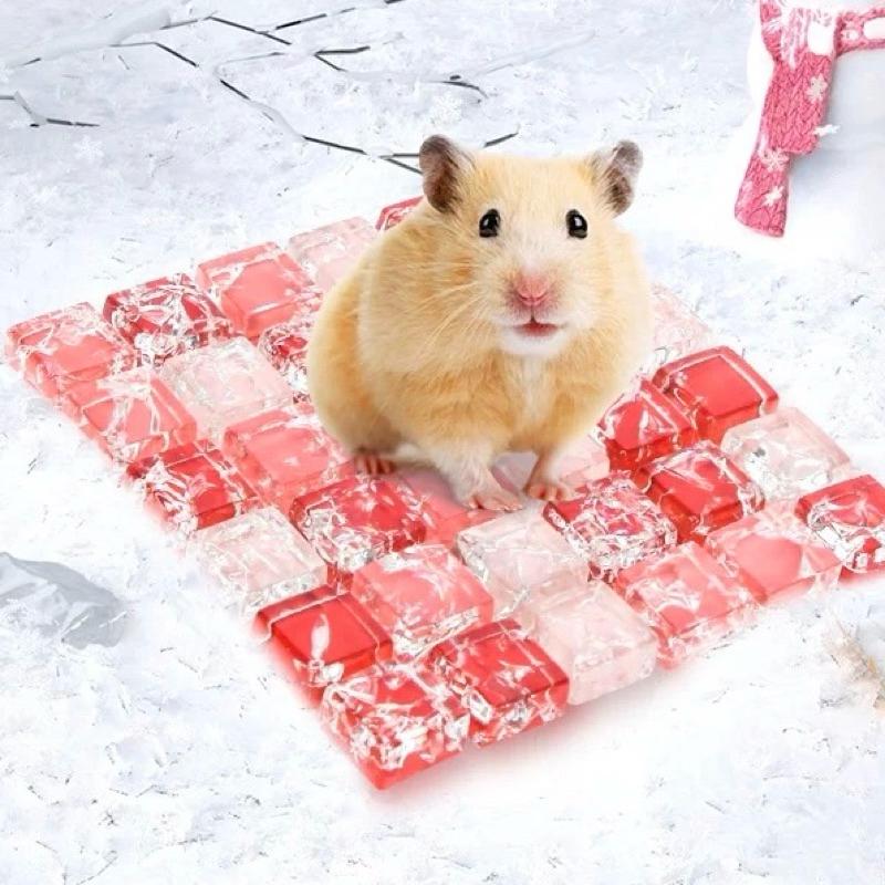 [現貨]倉鼠散熱墊 小寵物天然晶石涼席 降溫用品 夏天散熱板 水晶冰墊兔子冰床消暑用品-細節圖9