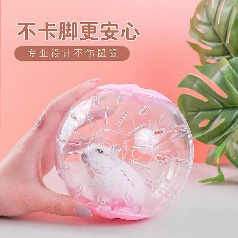 [現貨]倉鼠運動跑球 外出倉鼠玩具 透明跑步球-細節圖3