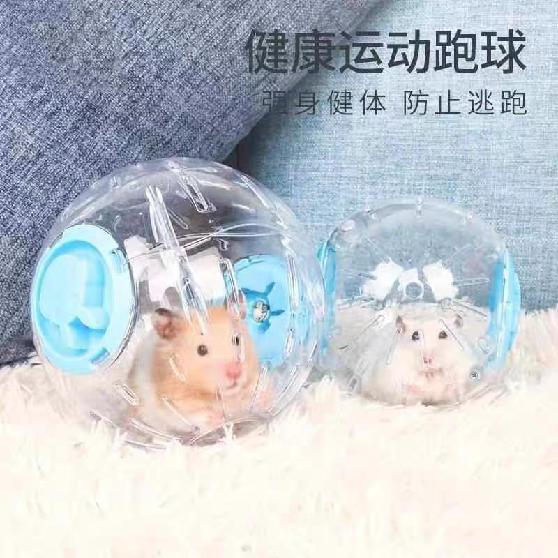 [現貨]倉鼠運動跑球 外出倉鼠玩具 透明跑步球-細節圖6