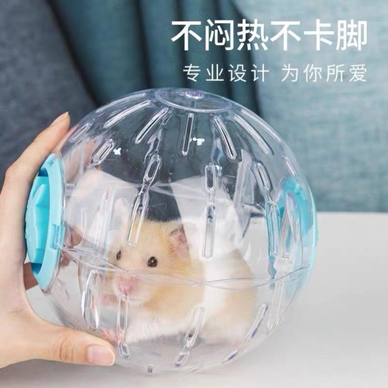 [現貨]倉鼠運動跑球 外出倉鼠玩具 透明跑步球-細節圖7