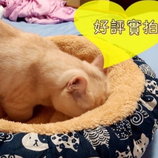 【台灣現貨⚡️多款】保暖寵物睡窩 貓窩狗窩 寵物窩 可機洗 保暖睡窩 貓咪睡窩 寵物床 貓咪睡墊 南瓜窩 門外貓-細節圖4