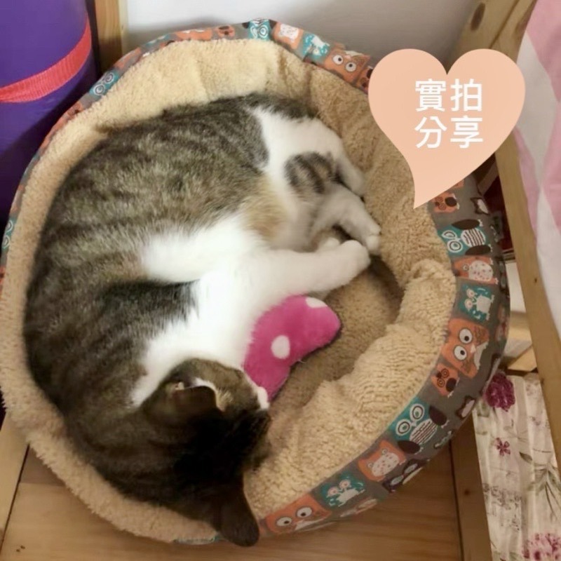 【台灣現貨⚡️多款】保暖寵物睡窩 貓窩狗窩 寵物窩 可機洗 保暖睡窩 貓咪睡窩 寵物床 貓咪睡墊 南瓜窩 門外貓-細節圖8