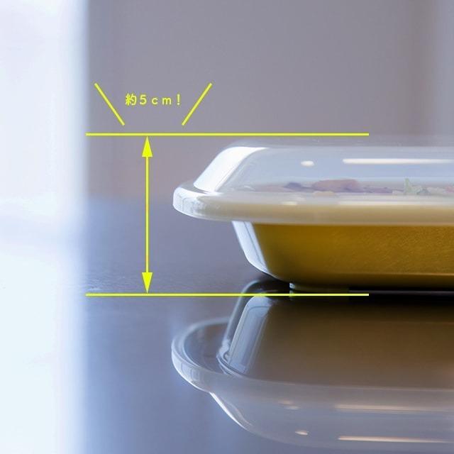 日貨特價|安心日本製BISQUE 便當盒午餐盒微波盒收納盒保鮮盒可洗碗機微波爐-細節圖4