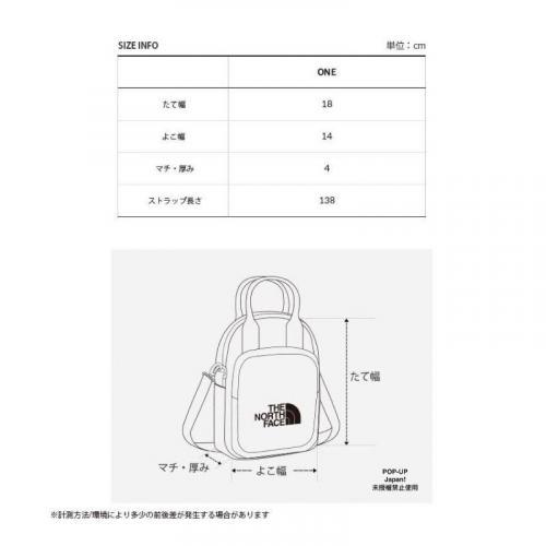 韓國限定 The North Face 經典LOGO 可手提可肩背側背包 灰色-細節圖7
